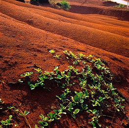 游道易促成联动合作，AMC《行尸走肉》加入《守望黎明》废土世界！